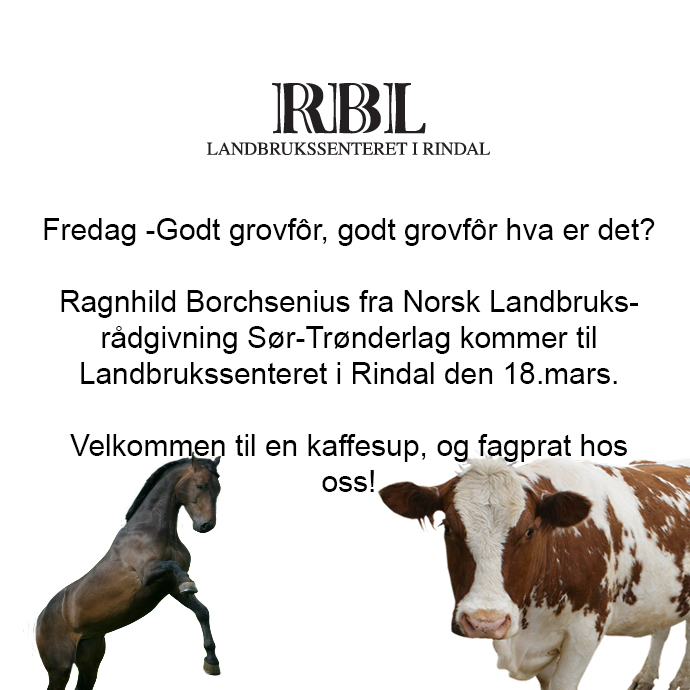 ragnhild.jpg