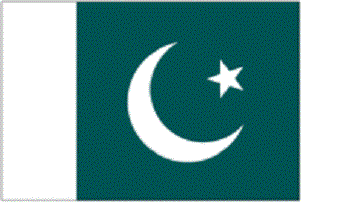 Pakistans flagg ingress