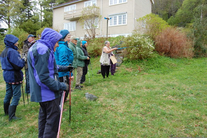 Stavgangstur til Brøskjehagen 04_700x466.jpg