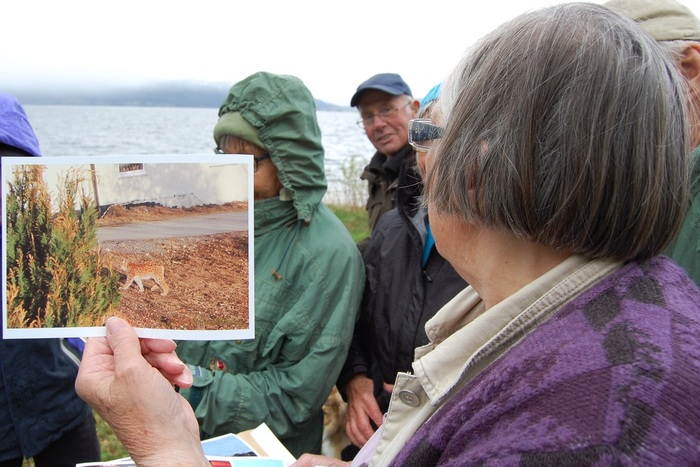 Stavgangstur til Brøskjehagen 05_700x467.jpg