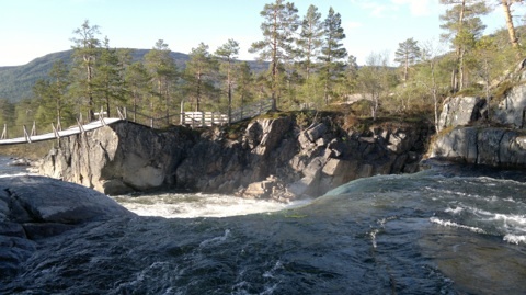 vindøldalen sommer.jpg