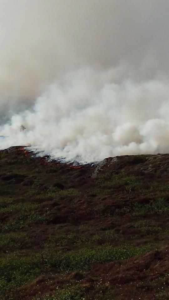 Brann Halsa Foto: Per Iver Skrøvset