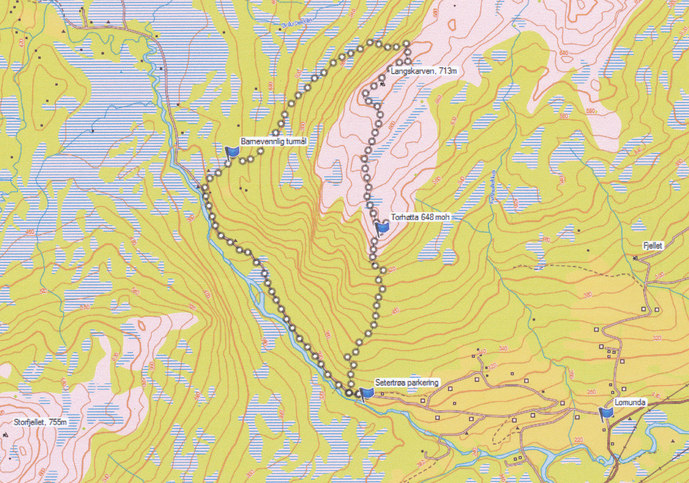 5. Torhøtta 17.juni 2014_690x483.jpg