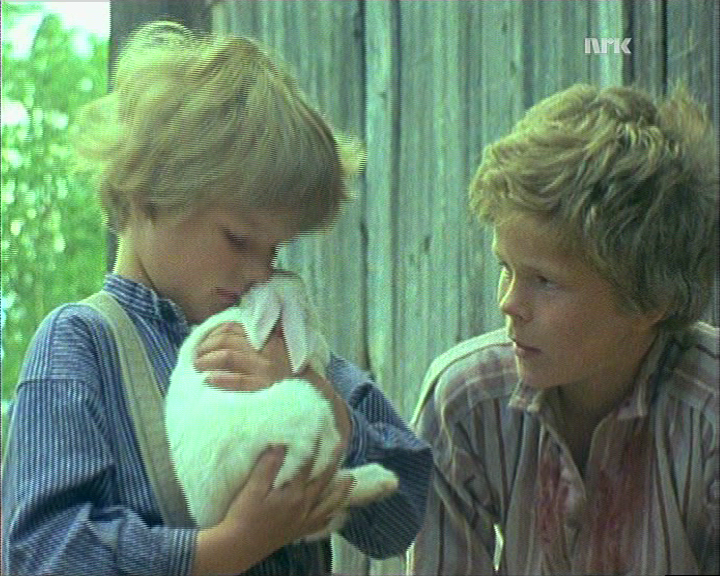 bilde av en kanin og en gutt fra En å være glad i