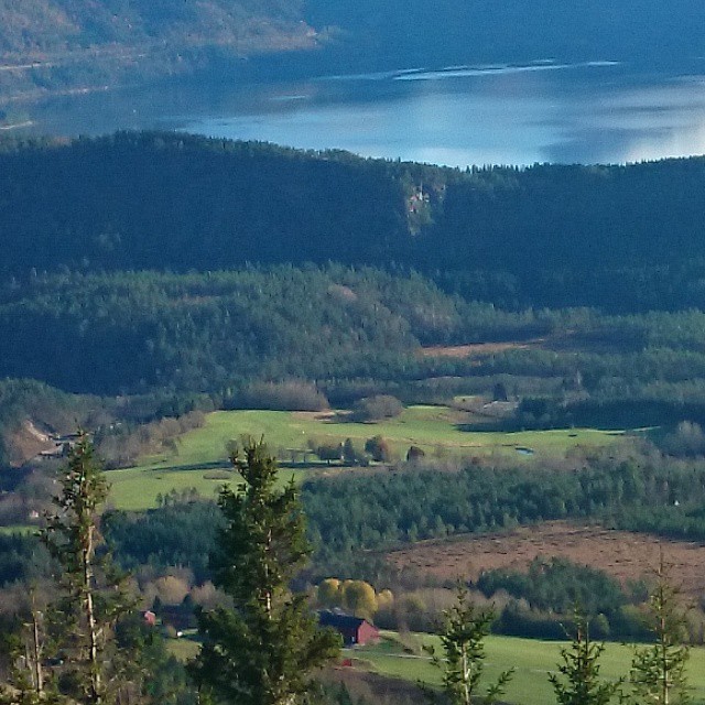 Utsikt mot baneområdet Sunradal golfklubb golfbanen.jpg