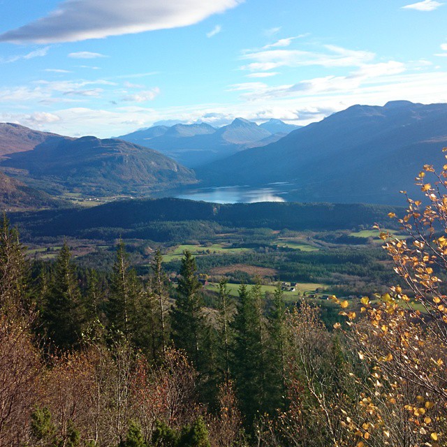 Utsikt mot Nordvik og Todalsfjorden Knut Haugen.jpg