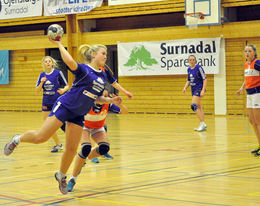 j16 orkdal mia2