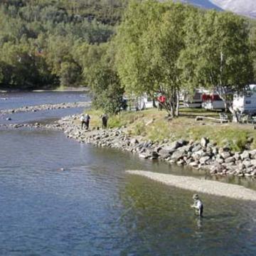 fiskesalangselva