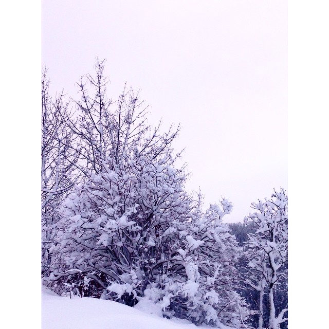 3.januar_guro_ms98_instagram.jpg