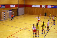 Handballdag J13