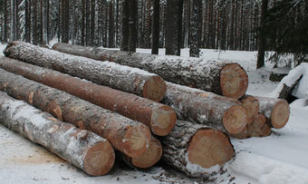 Spesialtømmer Rindal kirke_690x331