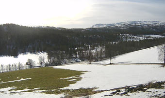 lilleholt