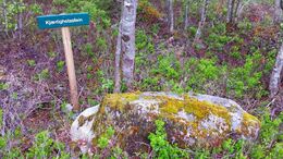 Søndagstur Halsa mai 15