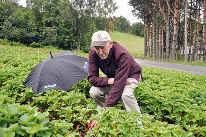 nils torvik åker.jpg