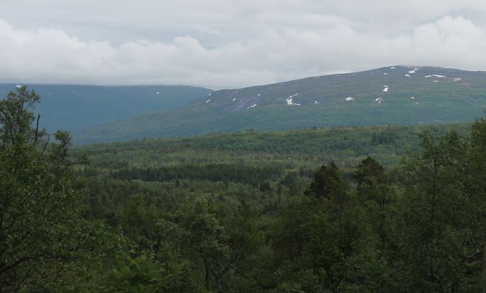 Utsikt Nordmarka.jpg