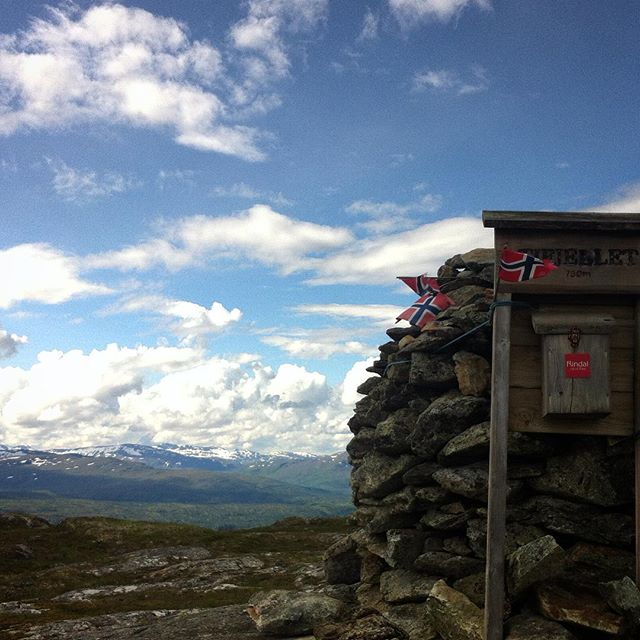 280715 @torilkiel Tifjellet i dag.jpg