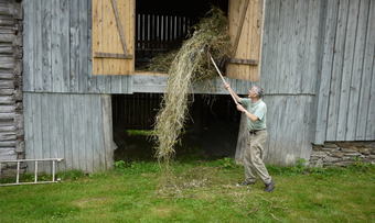 Oddvin lesser høy