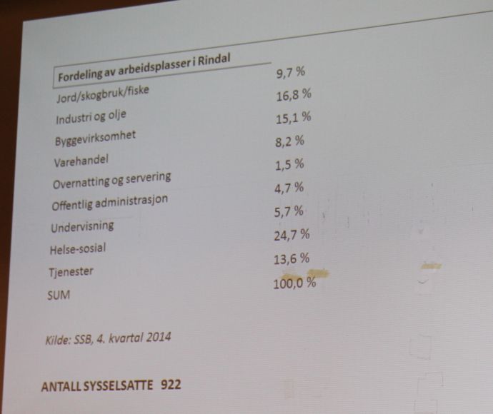 fordeling av arbeidsplasser i Rindal.jpg