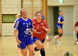 gry norshusstuen