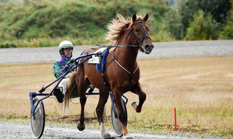 smedheim aron