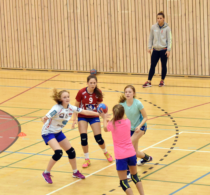 handballskule anna_690x642.jpg