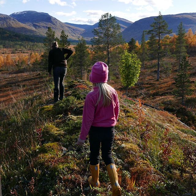 16. okt fjell liv Liv Hjelen Tidebestigning på hyttetaket.jpg