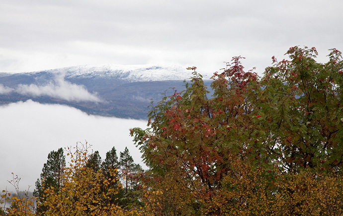 Resfjellet Foldenfoto.jpg