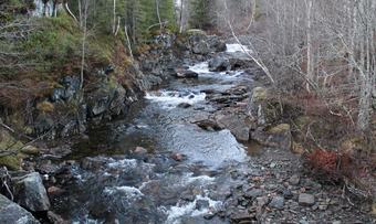 Toråa 1 Fossdalen