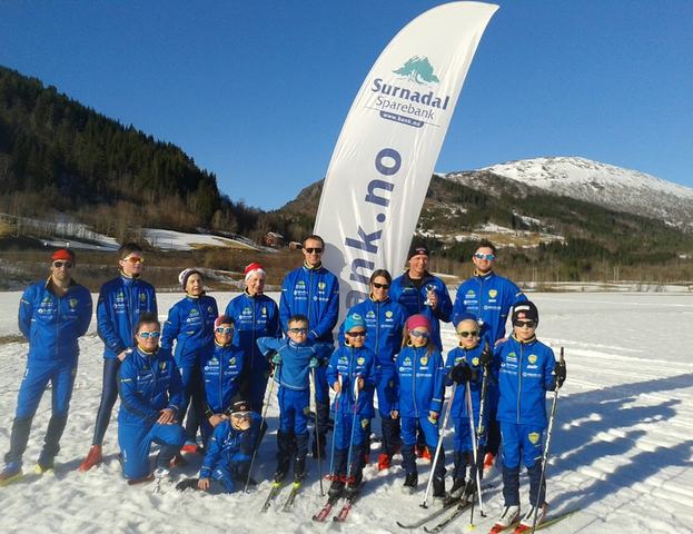 Skibilde