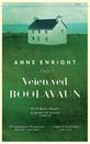 Anne Enright: Veien ved Boolavaun