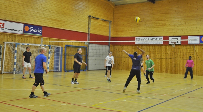 Volleyball2 foto Ada Lillegård_690x382.jpg