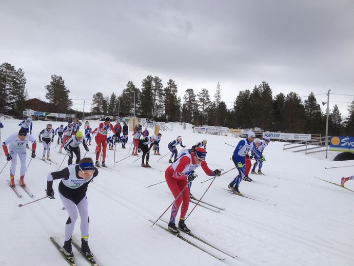 Startfeltet 2015