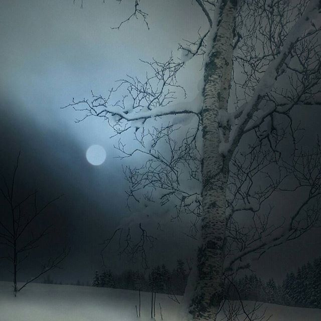 @ingeborgsande Moonlight Rindal.jpg