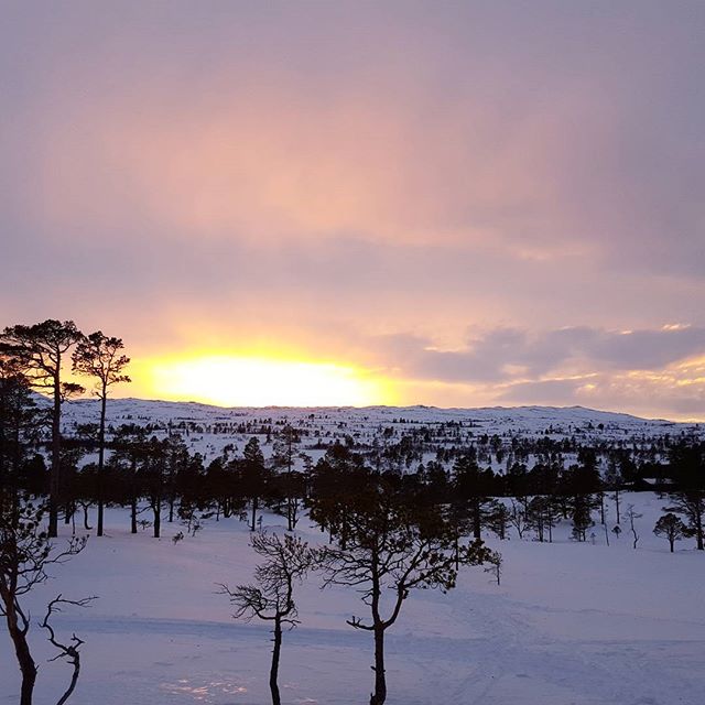 @mbelsvik Startet vinterferien på fjellet.jpg