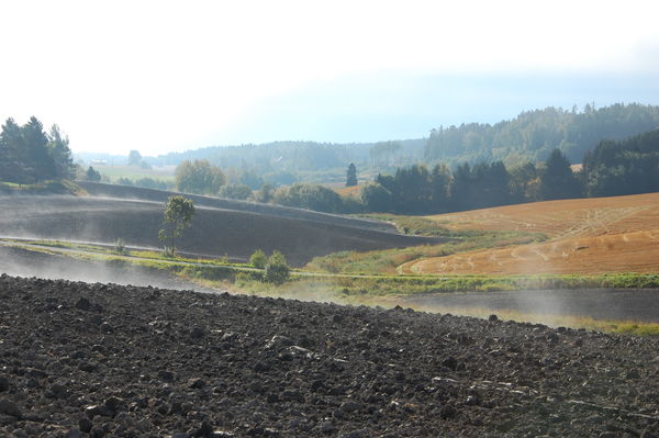 bilde av jorde i Skiptvet. Foto: Tone Frorud bilde av jorde i Skiptvet. Foto: Tone Frorud