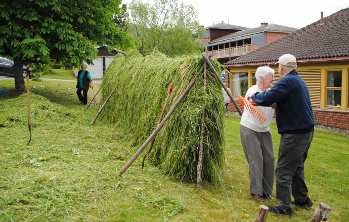 Svingom i slåtten (690x439).jpg