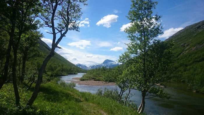 Svartådalen med utsikt mot Snota Foto Aud Rød.jpg