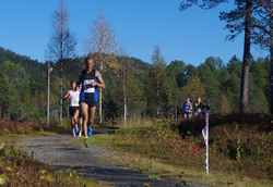 Et felt med blant andre startnr 120 Solomon Achame, Namdal Løpeklubb (MV 35-39) og startnr 115 Kristian Tjørnholm, Kristiansand Løpeklubb (menn senior)