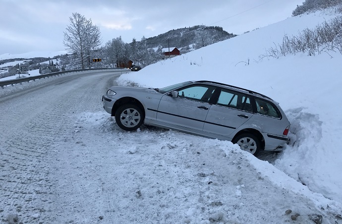 Biluhell Rindalsskogen 1 foto John Storholt.jpg