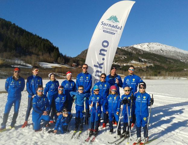 Skigruppa