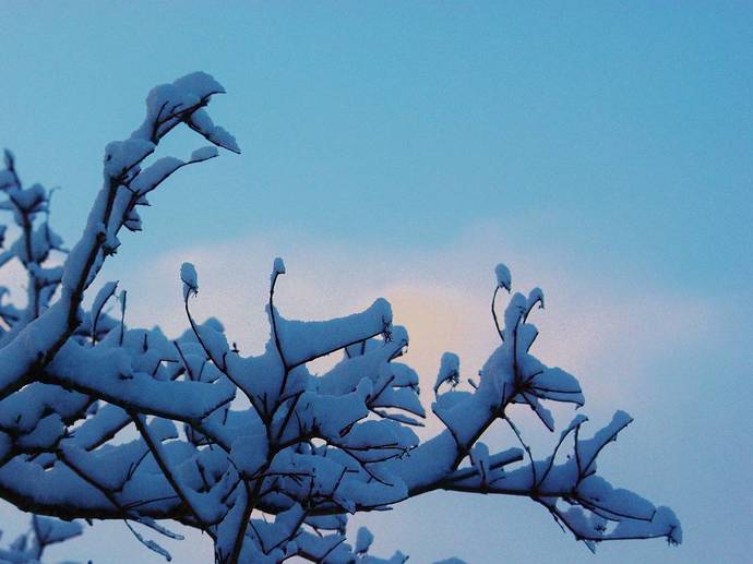 Snø på årets første dag 2017_690x517.jpg