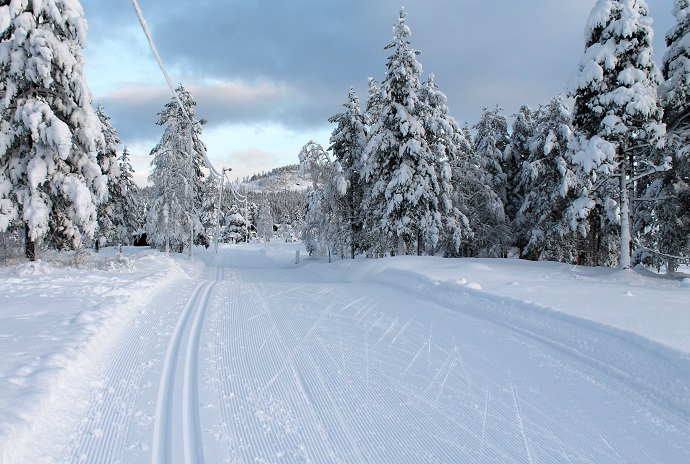 skiløype rindal sentrum 2 5. januar.jpg