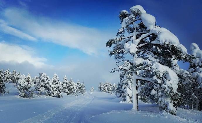 løålikjølen foto odd helge haugen_690x422