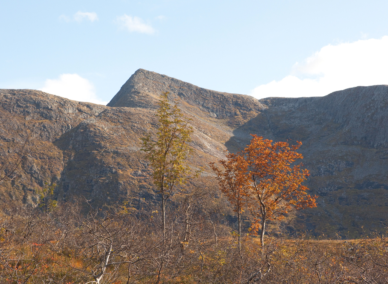 x011-Ølmannstinden.jpg