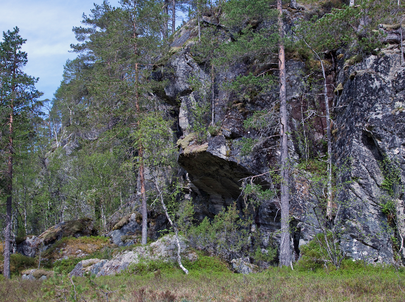 170530d-berg.jpg