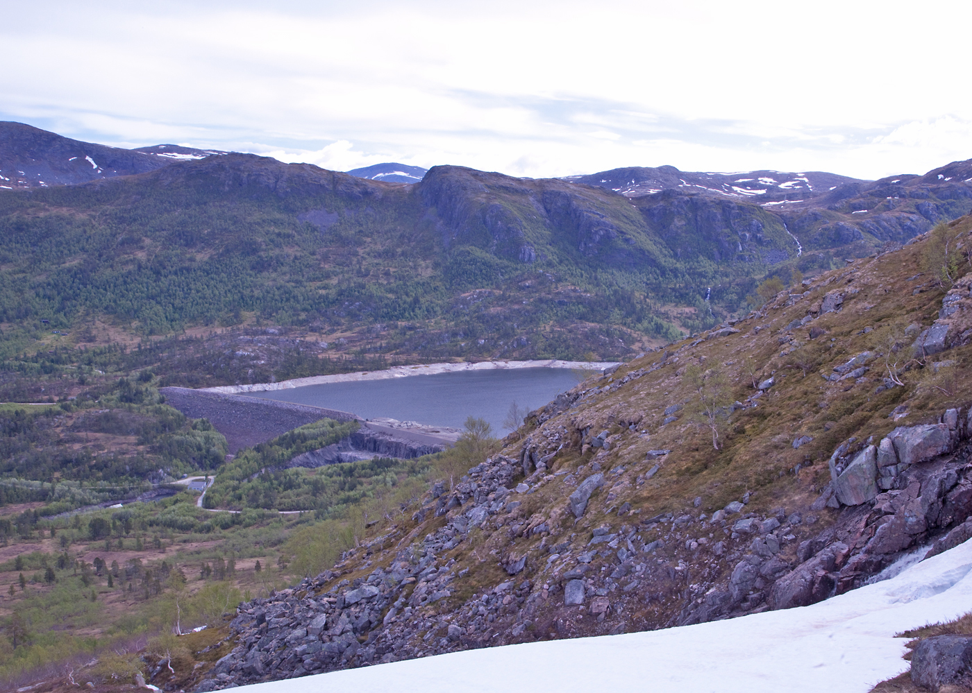 170609d-Gråhaugen.jpg