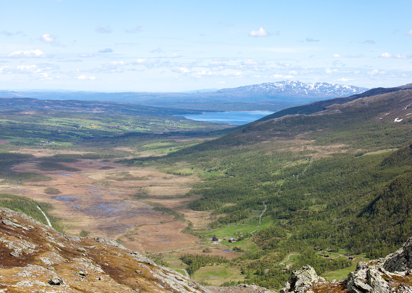170615d-Nerskogen.jpg