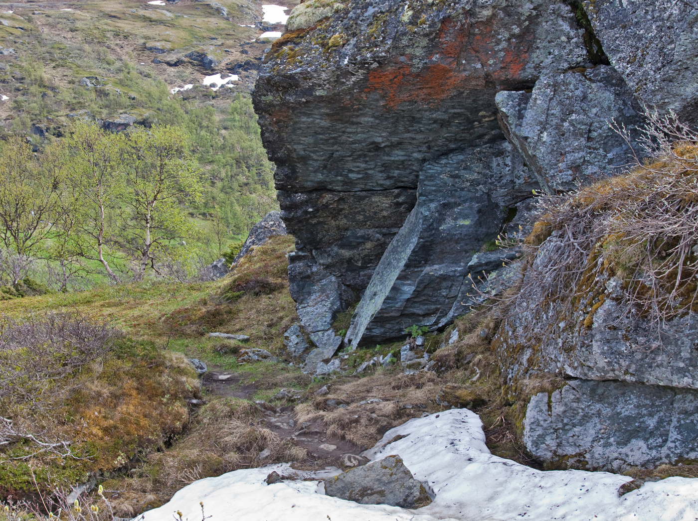 170615l-berg.jpg