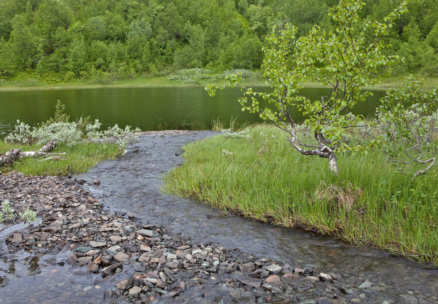 170624f-Saltjønna.jpg