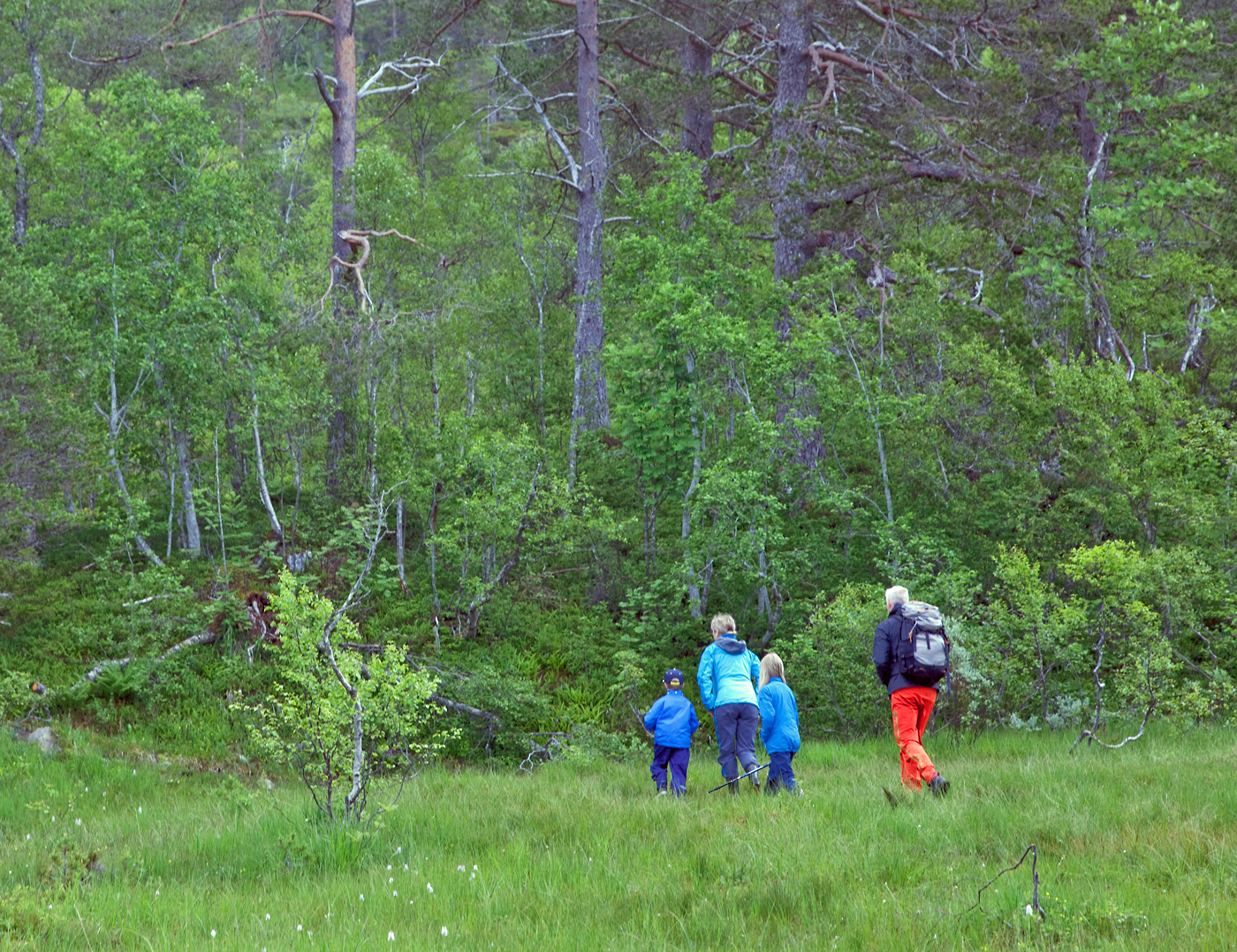 170717c-turgåere.jpg